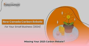 what_to_do_if_i_didn_t_receive_my_carbon_rebate_2025_edited